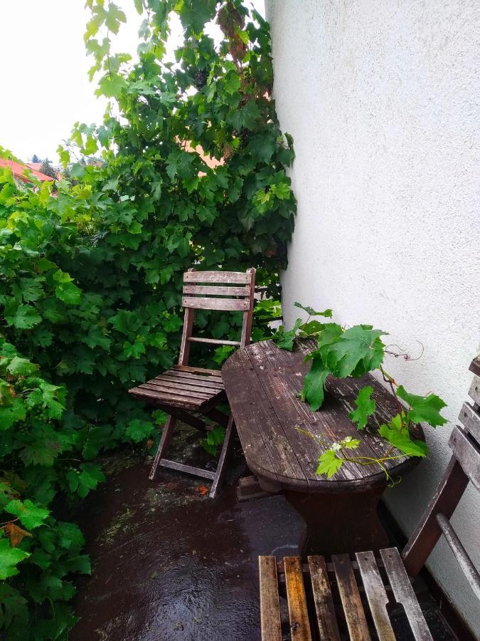 Apartment Telc Hradecka Экстерьер фото