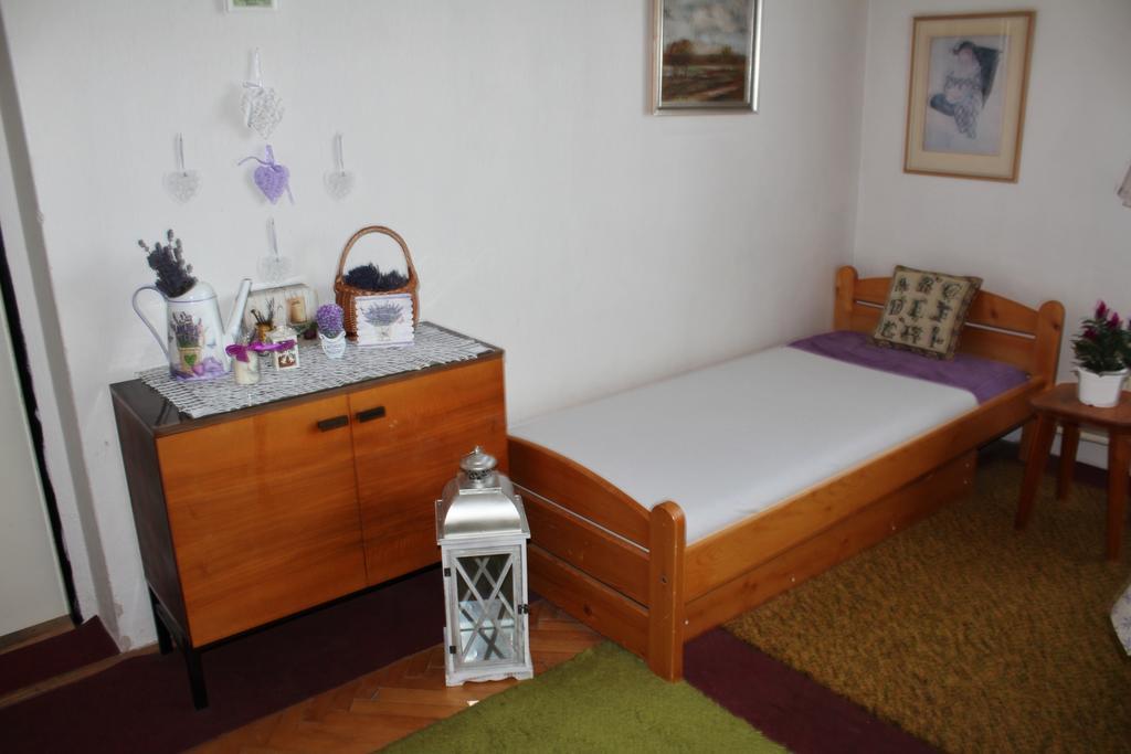Apartment Telc Hradecka Экстерьер фото
